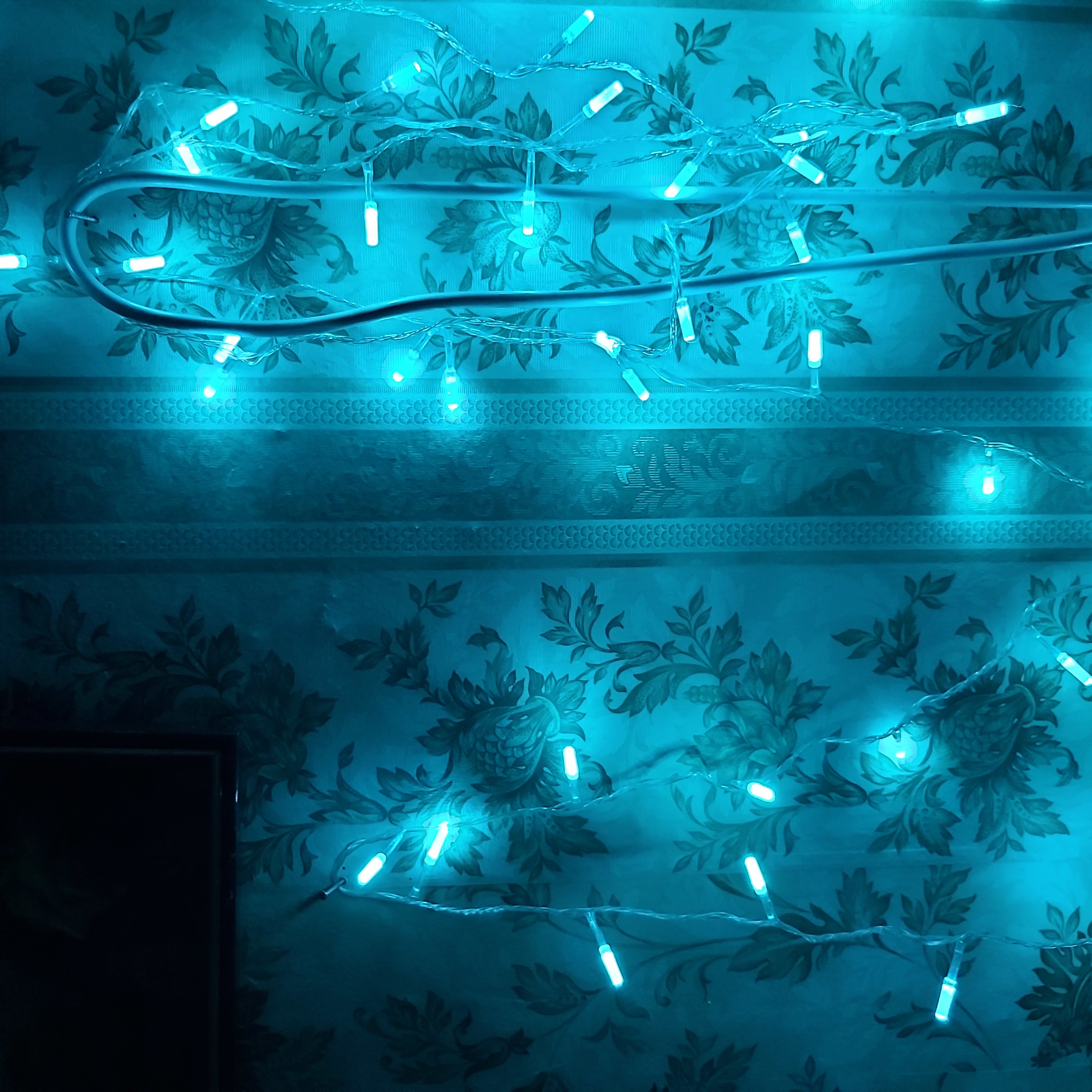 Фотография покупателя товара Гирлянда «Нить» 5 м с насадками «Звёздочки», IP20, прозрачная нить, 50 LED, свечение аквамарин, 8 режимов, 220 В - Фото 5