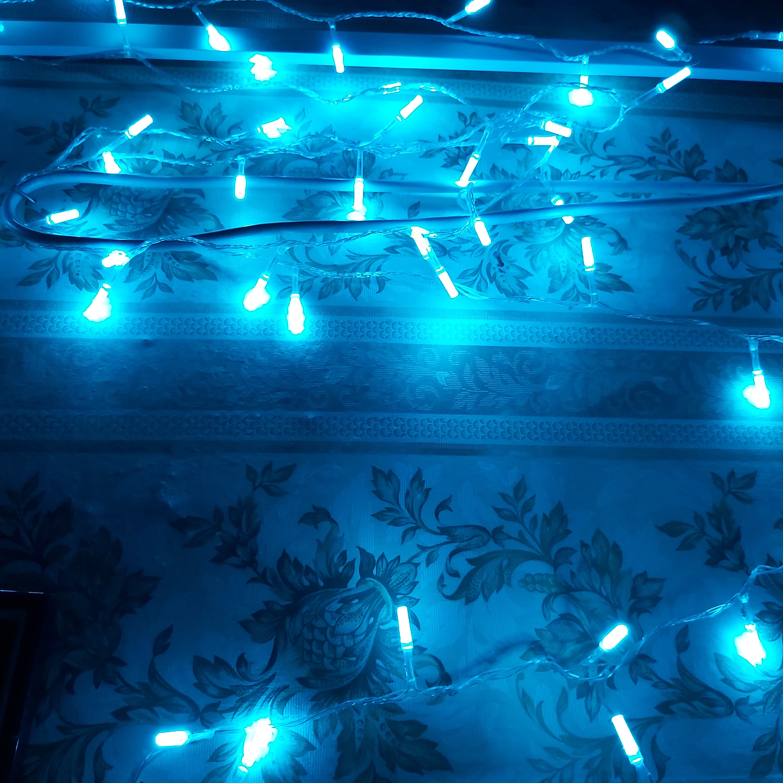 Фотография покупателя товара Гирлянда «Нить» 5 м с насадками «Звёздочки», IP20, прозрачная нить, 50 LED, свечение аквамарин, 8 режимов, 220 В - Фото 2