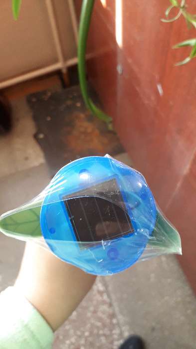 Фотография покупателя товара Садовый светильник Uniel на солнечной батарее «Синий тюльпан», 4 × 30 × 4 см, свечение белое - Фото 1