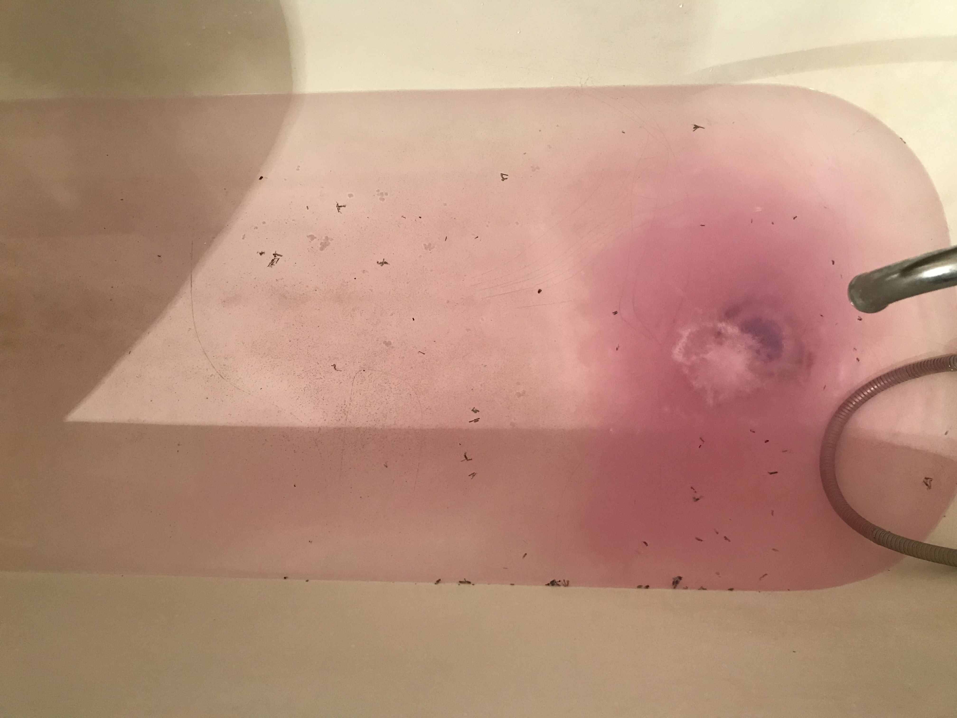 Фотография покупателя товара Бомбочка для ванн Laboratory Katrin двухцветная с цветами лаванды, 120 г - Фото 13