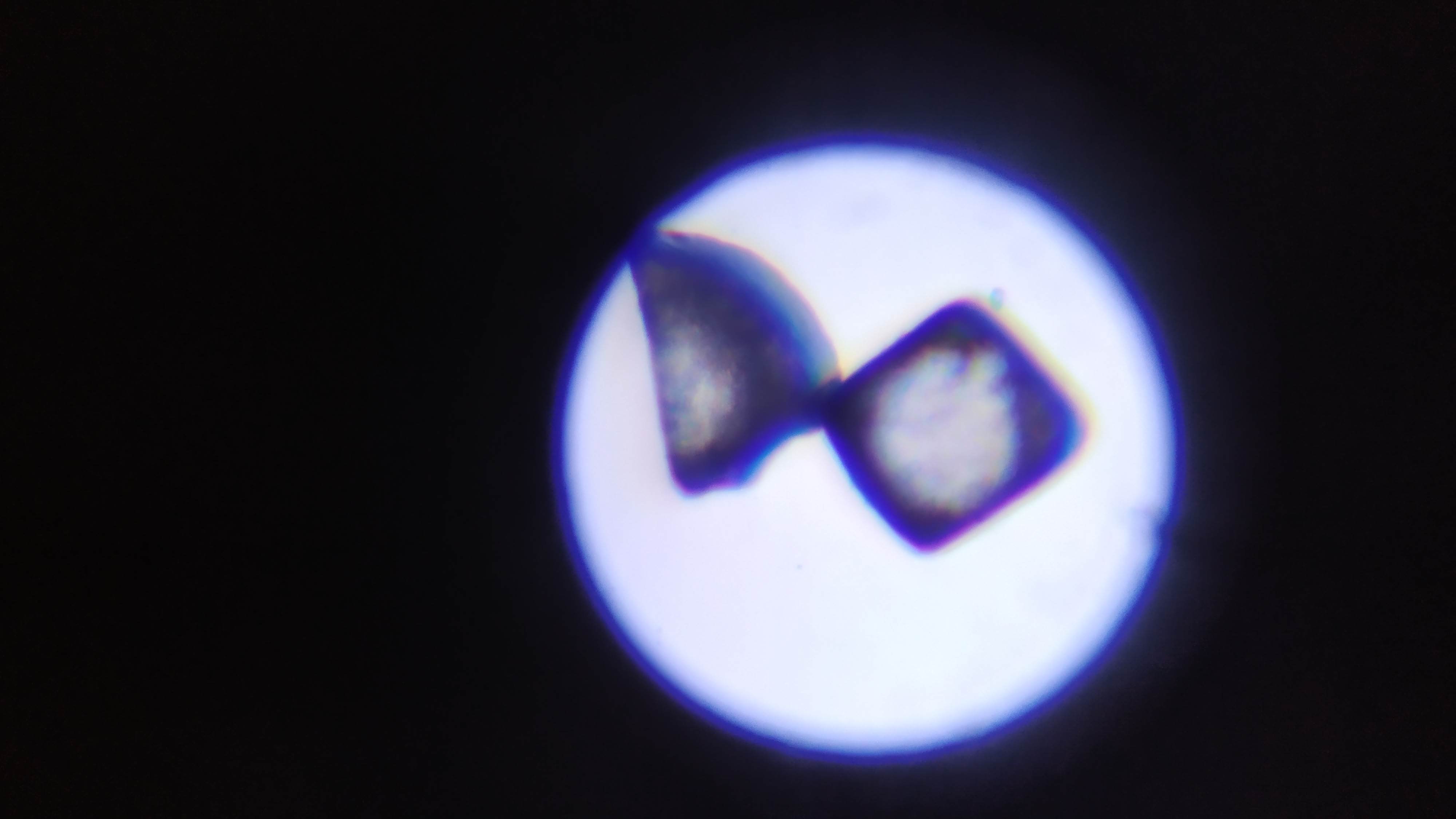 Фотография покупателя товара Микроскоп «Юный биолог», кратность увеличения 450х, 200х, 100х, с подсветкой - Фото 1