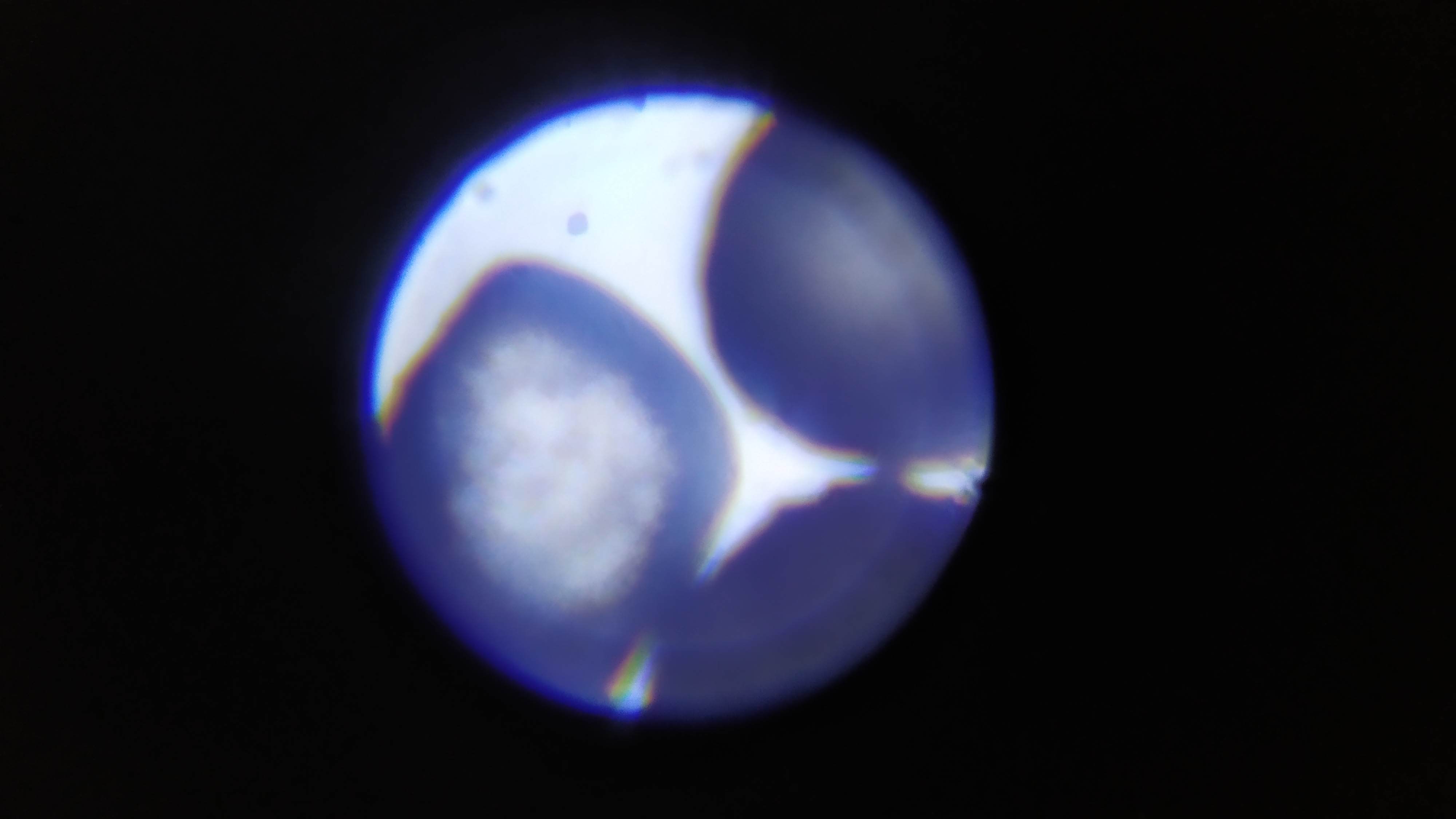 Фотография покупателя товара Микроскоп «Юный биолог», кратность увеличения 450х, 200х, 100х, с подсветкой - Фото 3