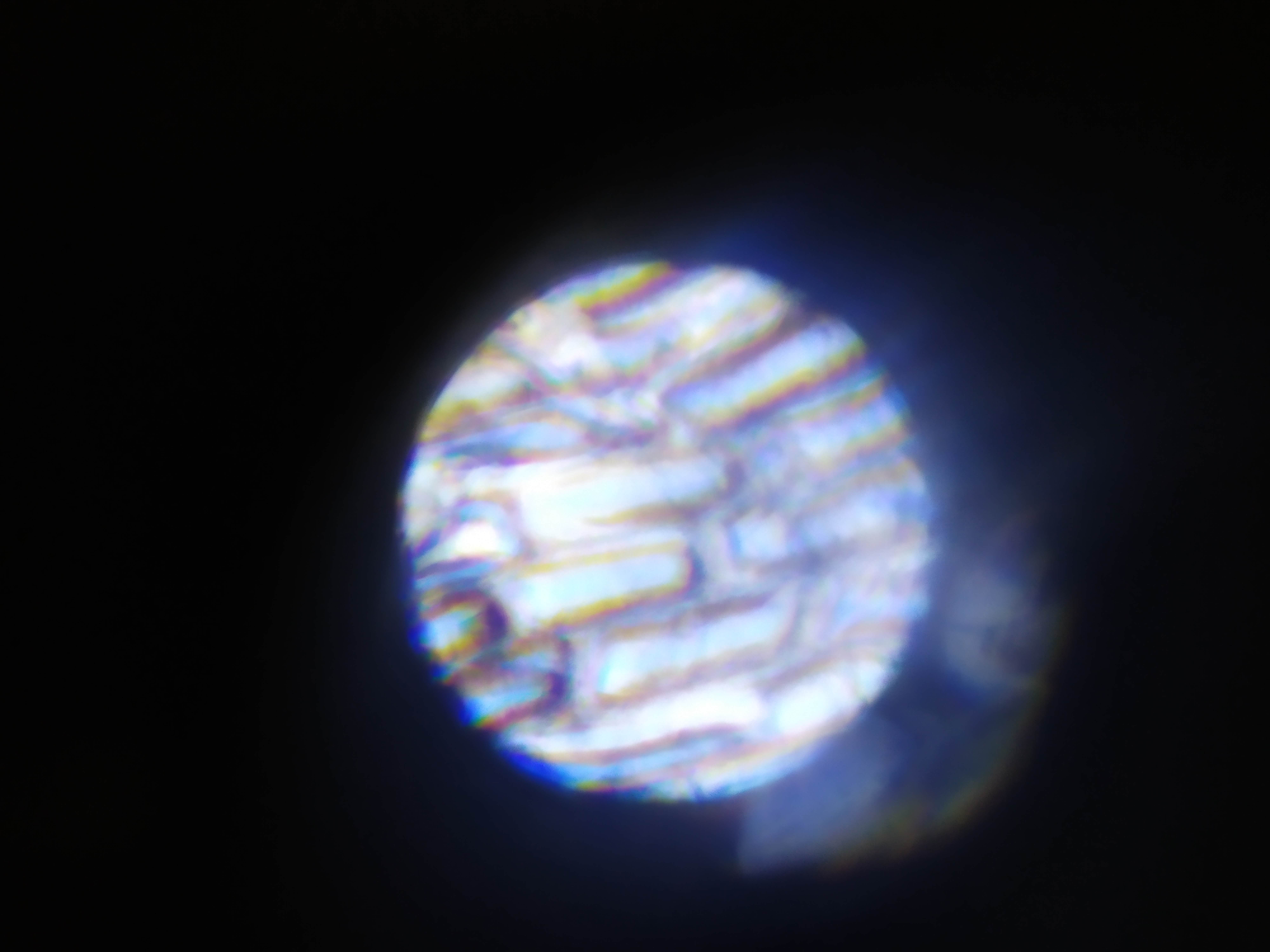 Фотография покупателя товара Микроскоп «Юный биолог», кратность увеличения 450х, 200х, 100х, с подсветкой - Фото 4