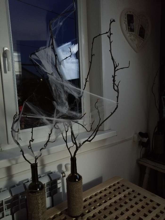 Фотография покупателя товара Прикол «Паутина и 2 паука» - Фото 16