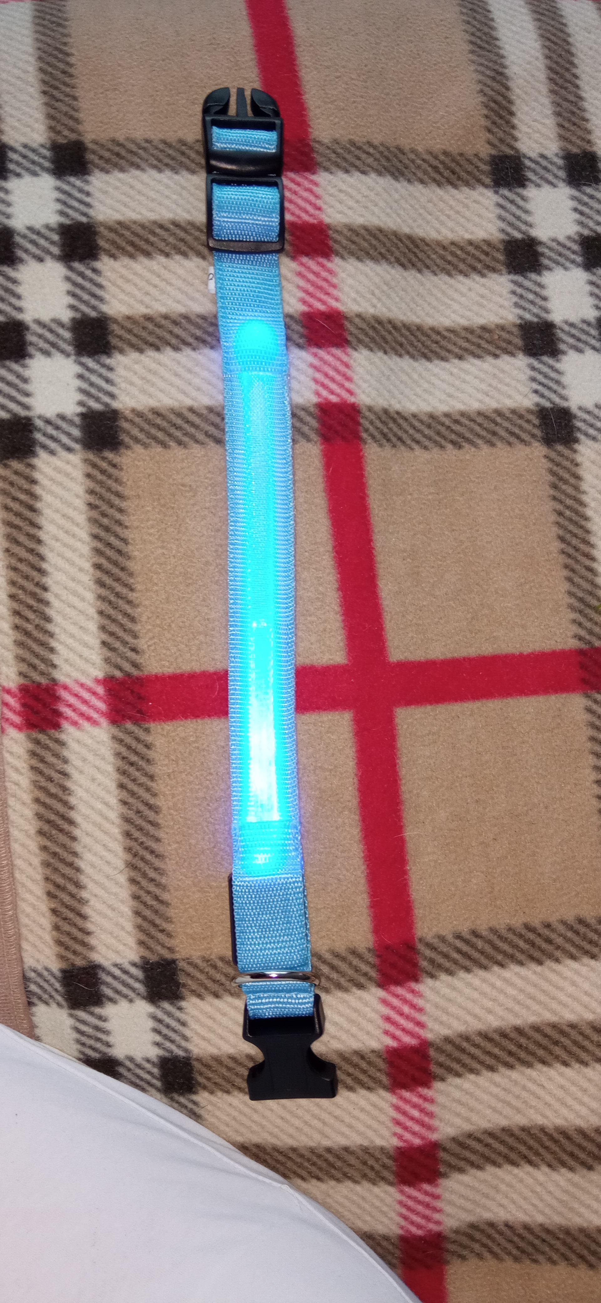 Фотография покупателя товара Ошейник с подсветкой размер S, ОШ 35-43 х 2,5 см, 3 режима свечения голубой