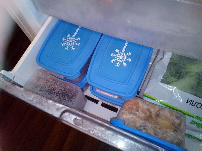 Фотография покупателя товара Набор контейнеров для замораживания продуктов «Морозко», 3 шт, 700 мл, цвет МИКС - Фото 4