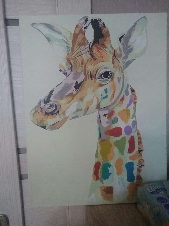 Фотография покупателя товара Роспись по холсту «Жираф» по номерам с красками по 3 мл+ кисти+крепёж, 30×40 см - Фото 1
