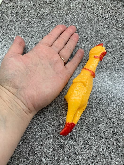 Фотография покупателя товара Игрушка пищащая "Задумчивая курица" малая, 16,5 см, жёлтая - Фото 23