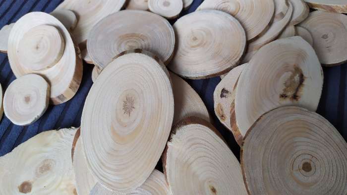 Фотография покупателя товара Набор из спилов дерева "Сосновый", набор 40 шт, 4 вида спилов - Фото 1