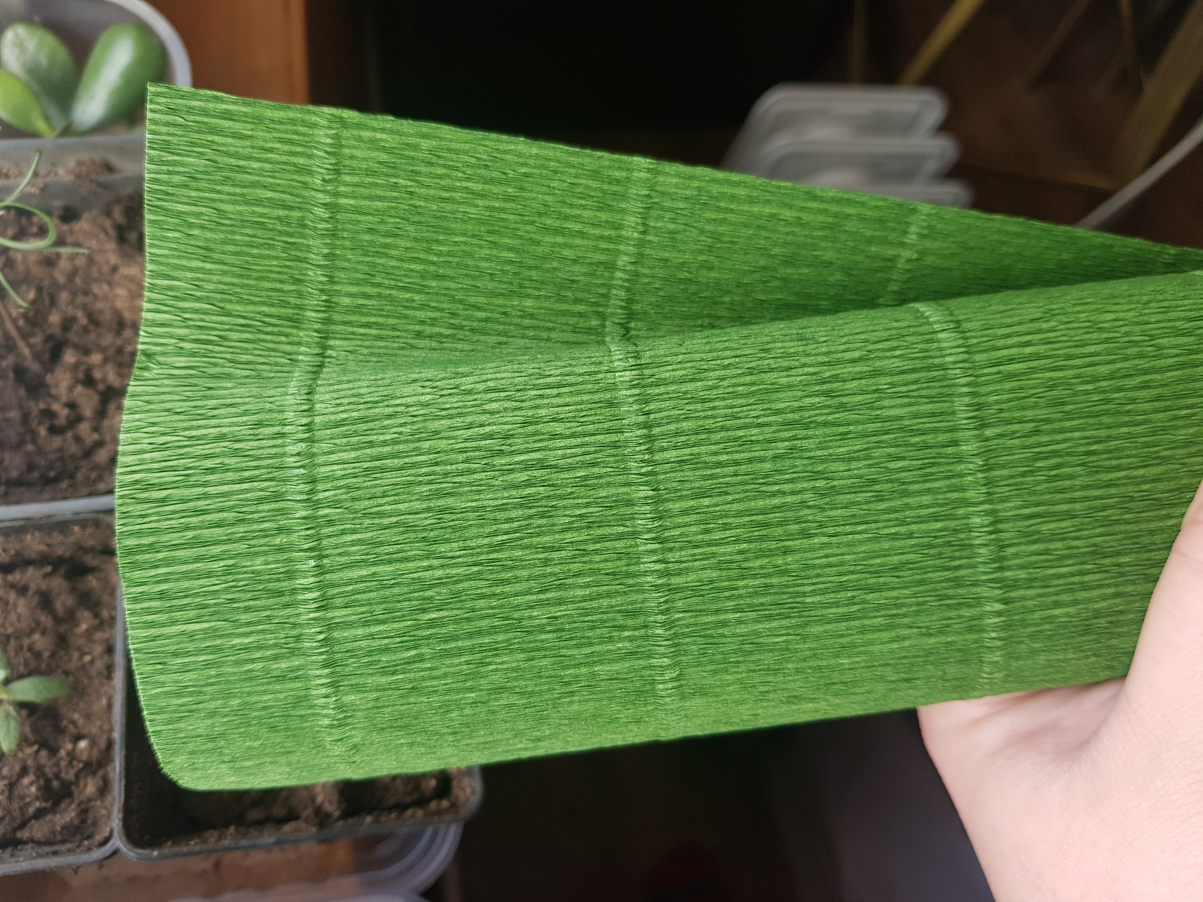Фотография покупателя товара Бумага для упаковок и поделок, гофрированная, травяная, зеленая, однотонная, двусторонняя, рулон 1 шт., 0,5 х 2,5 м - Фото 5