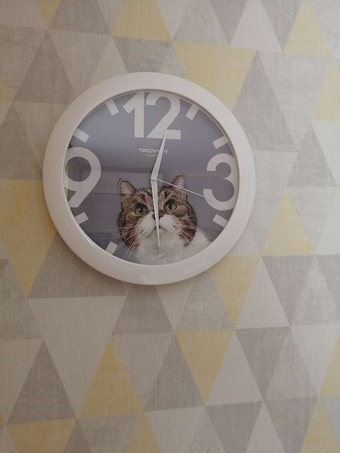 Фотография покупателя товара Часы настенные, серия: Животный мир, "Кот", d=29 см, белый обод - Фото 4