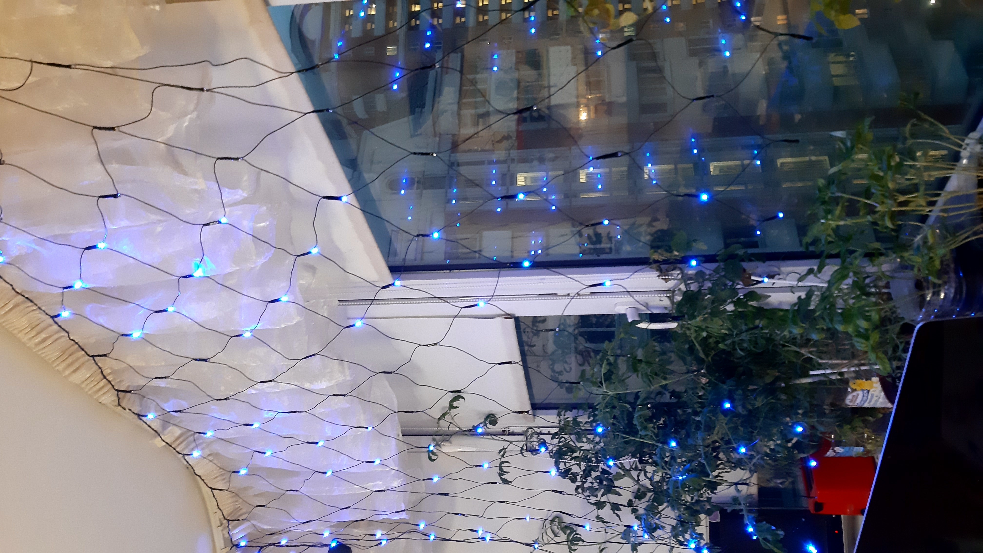 Фотография покупателя товара Гирлянда «Сеть» 1.6 × 1.6 м, IP20, тёмная нить, 144 LED, свечение синее, 8 режимов, 220 В - Фото 28