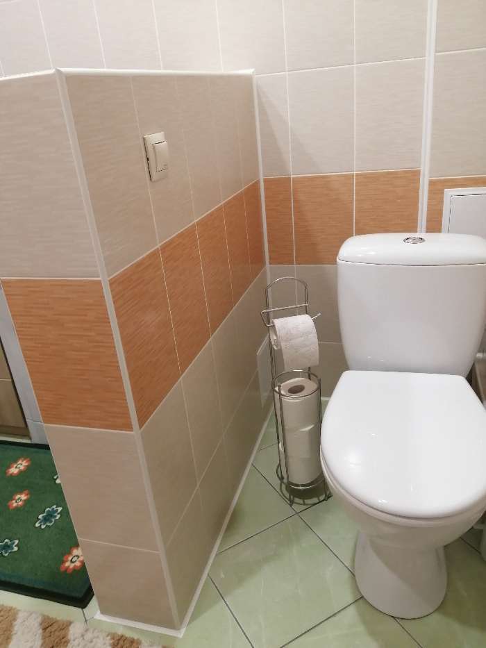 Фотография покупателя товара Органайзер для туалетной бумаги 15.5×66 см, цвет хром - Фото 3