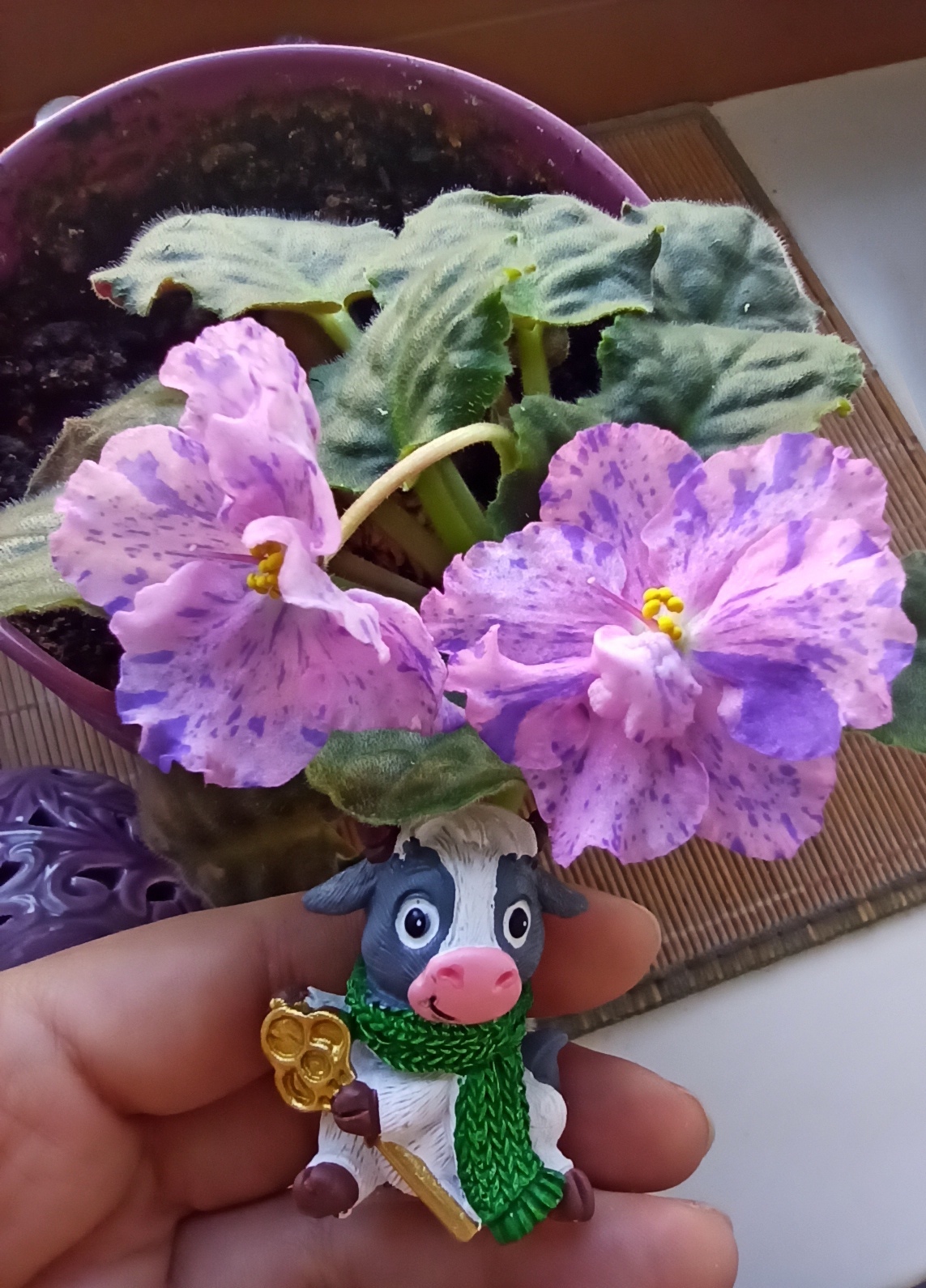 Сувенир полистоун "Бычок пятнистый Борька в шарфике с золотым ключом ...