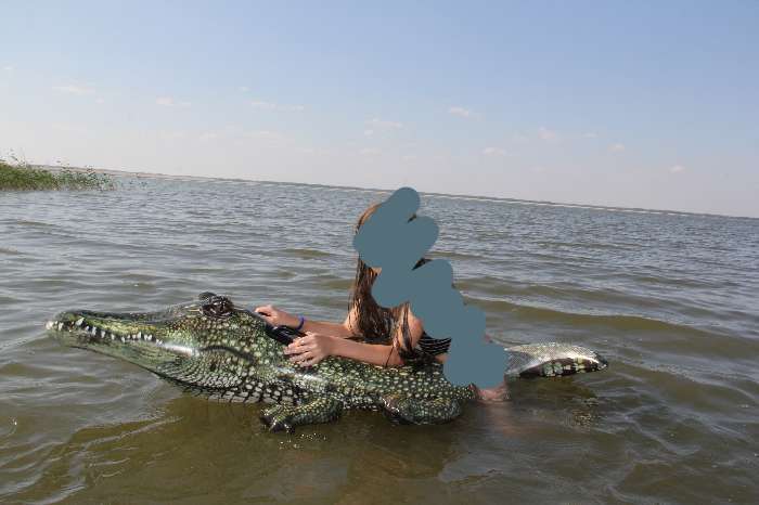 Фотография покупателя товара Игрушка для плавания «Аллигатор», 170 х 86 см, от 3 лет, 57551NP INTEX - Фото 1