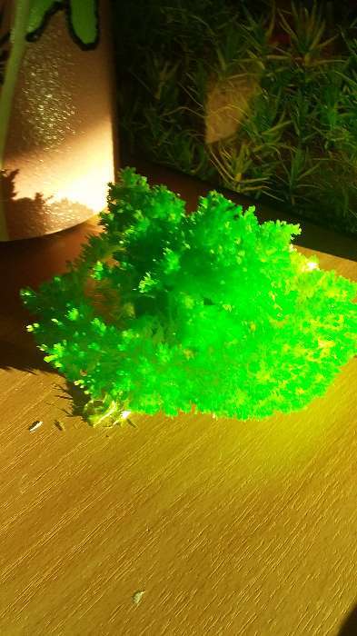 Фотография покупателя товара Набор для творчества «Лучистые кристаллы», цвет зелёный - Фото 5