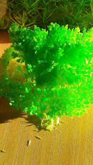 Фотография покупателя товара Набор для творчества «Лучистые кристаллы», цвет зелёный - Фото 6
