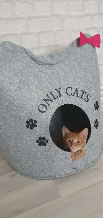 Фотография покупателя товара Домик для животных из войлока "Ушастик ONLY CATS", 46 х 46 х 43 см - Фото 4