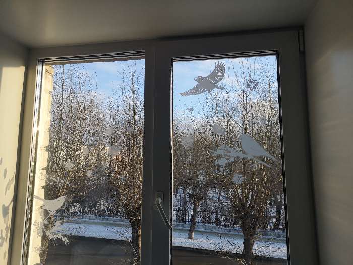 Фотография покупателя товара Наклейка для окон «Зимние птички» , многоразовая, 33 × 50 см - Фото 9