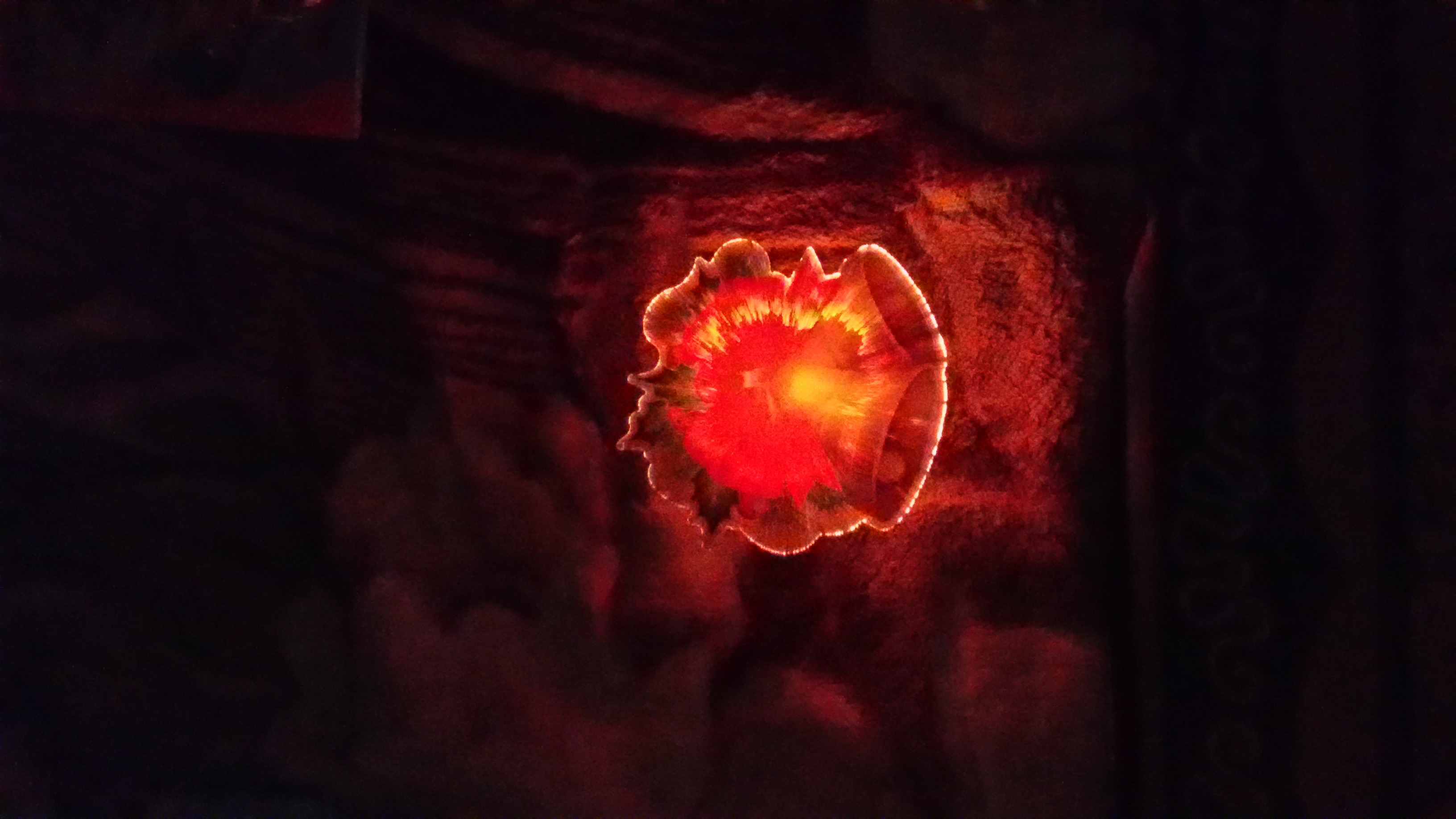 Фотография покупателя товара Световая картинка на магните "Колокольчик"(батарейки в комплекте), оптоволокно, 1 LED, RGB