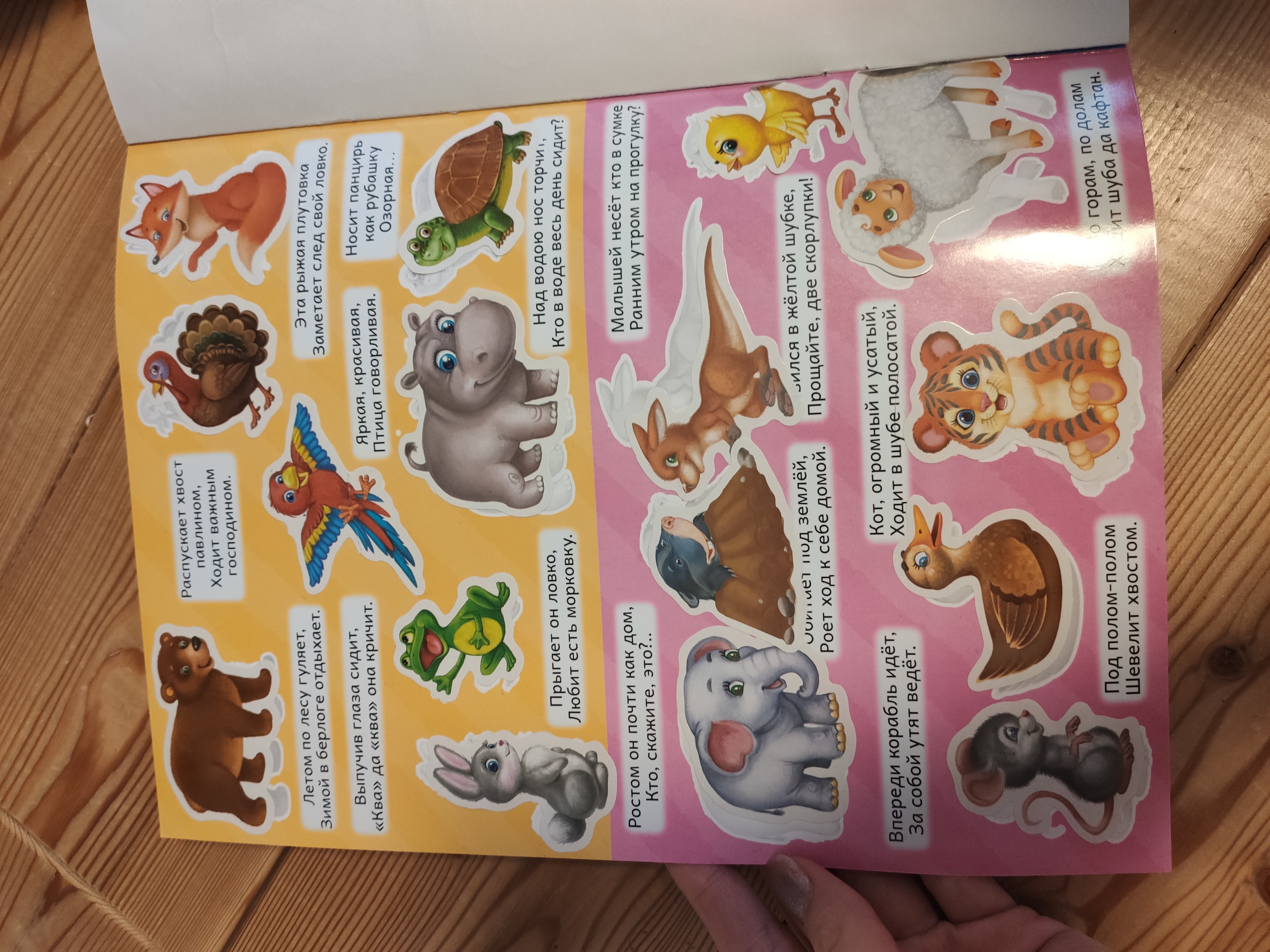 Фотография покупателя товара Наклейки многоразовые «Загадки о животных», формат А4 - Фото 6