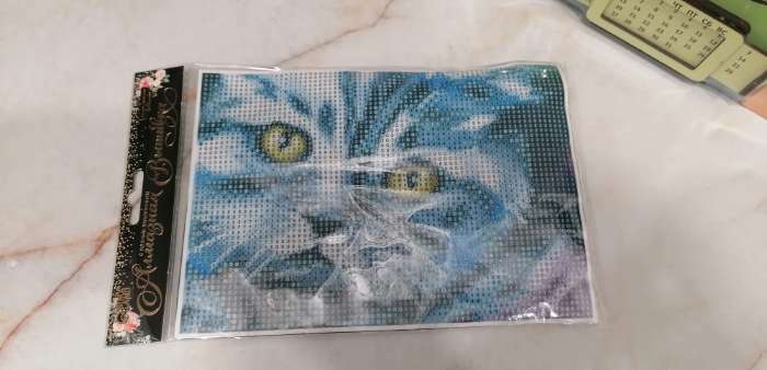 Фотография покупателя товара Алмазная мозаика с полным заполнением на холсте «Кот», 15 х 21 см - Фото 3