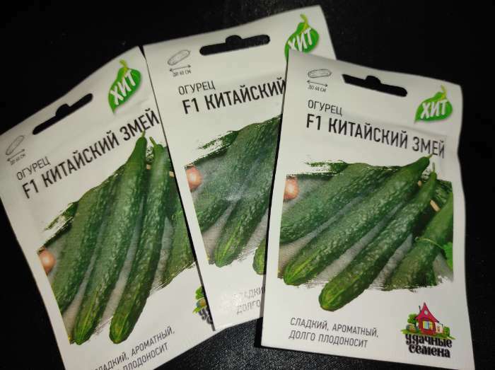 Фотография покупателя товара Семена Огурец «Китайский змей», среднепоздний, пчелоопыляемый, 0.3 г, «ХИТ-Гавриш» - Фото 8