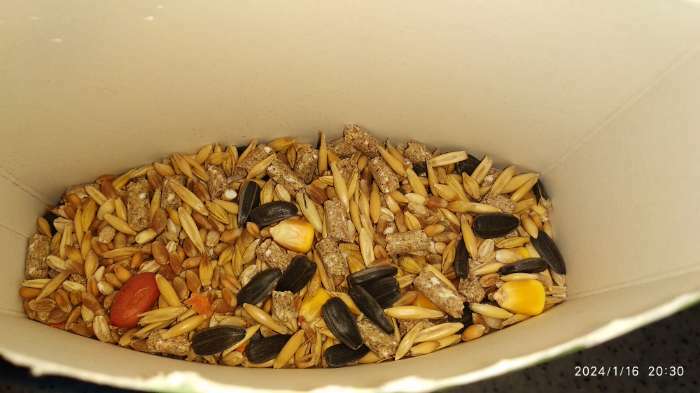 Фотография покупателя товара Кормовая смесь «Ешка MAXI» для морских свинок, с орехами, 750 г