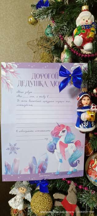 Фотография покупателя товара Письмо Деду Морозу «Принцесса», с наклейками - Фото 1