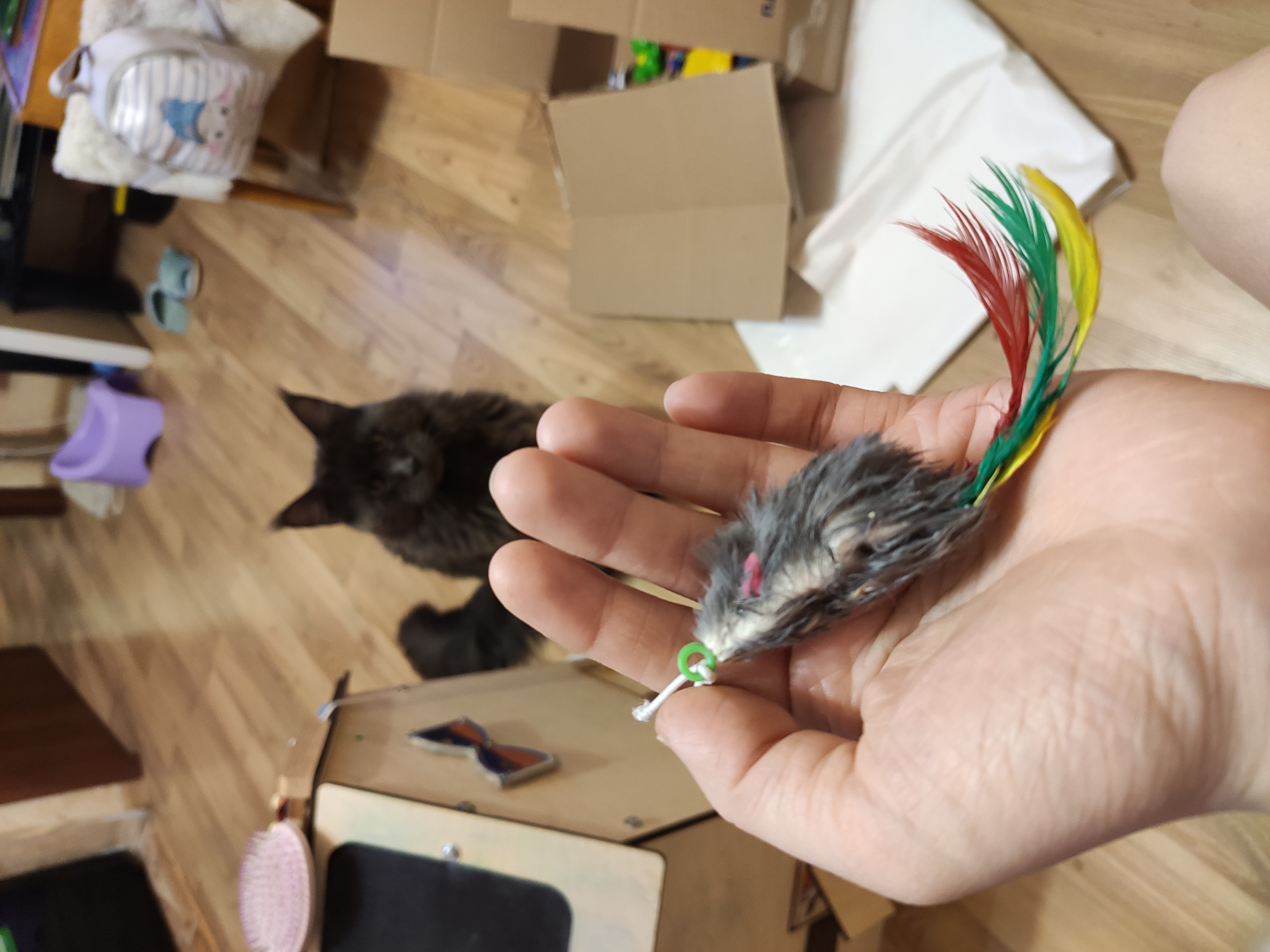 Фотография покупателя товара Дразнилка-удочка "Мышка мини", размер игрушки 4,5 см, микс цветов - Фото 1