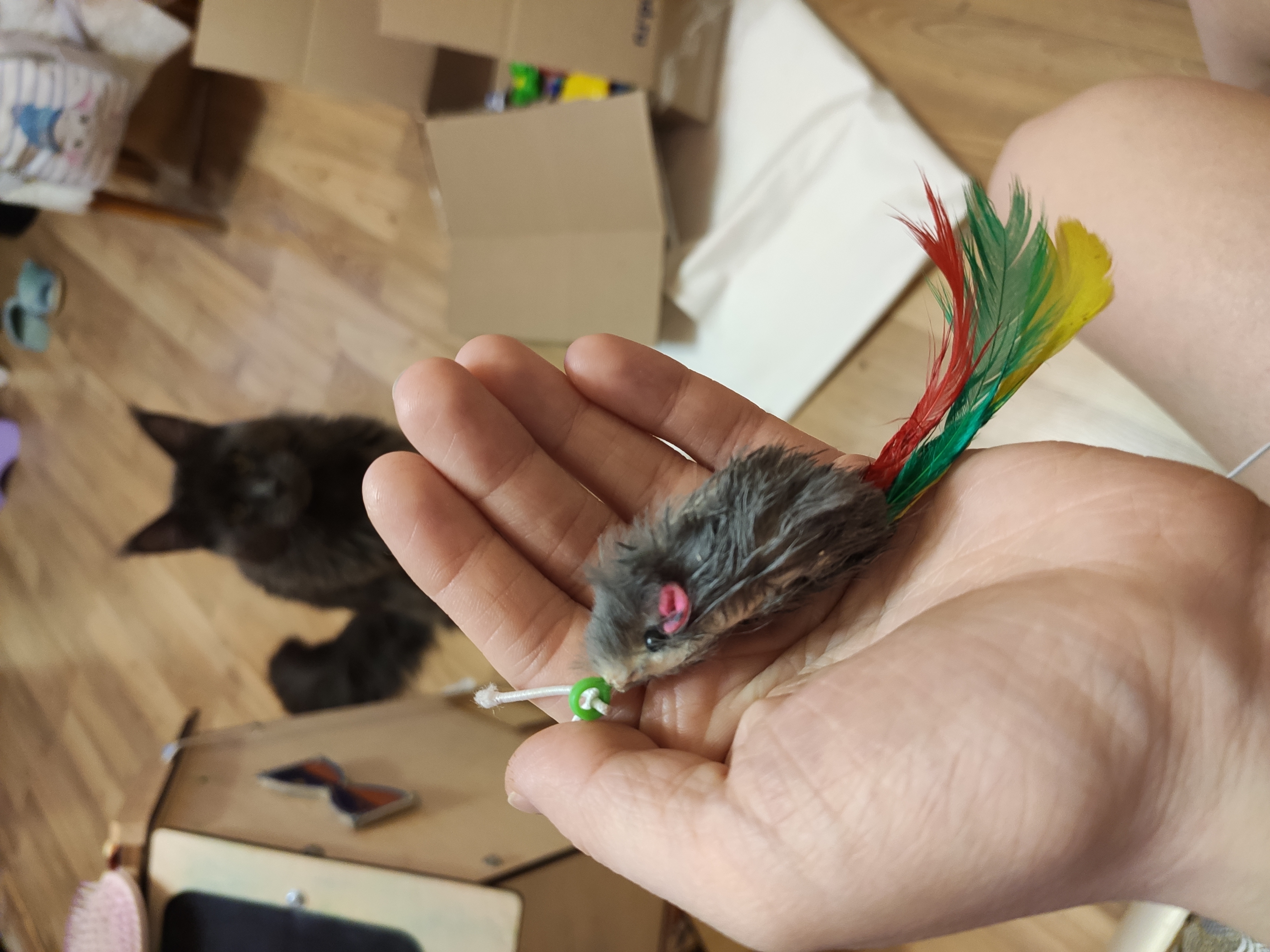 Фотография покупателя товара Дразнилка-удочка "Мышка мини", размер игрушки 4,5 см, микс цветов - Фото 2