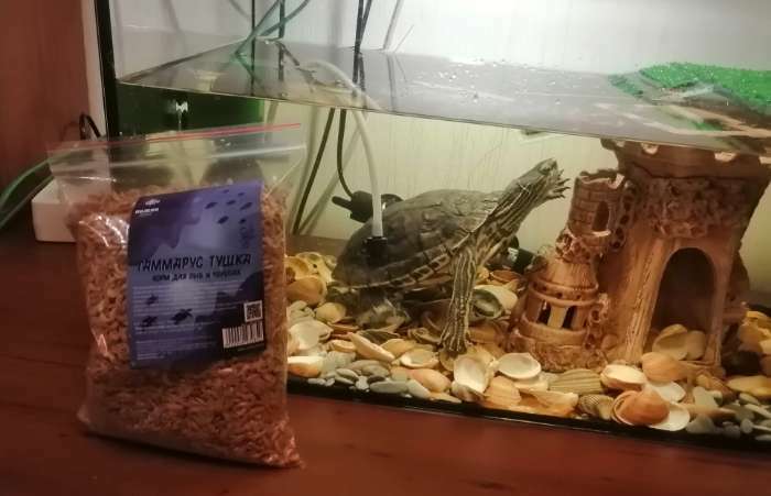 Фотография покупателя товара Корм для рыб и черепах "Пижон" гаммарус тушка, 100 г