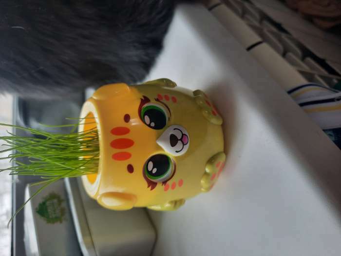 Фотография покупателя товара Набор для опытов «Котики. Выращиваем травку», жёлтый горшочек