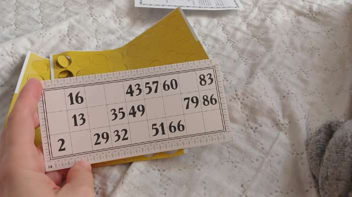 Фотография покупателя товара Русское лото "Kлассическое", 24 карточки, карточка 16.5 х 8 см - Фото 11