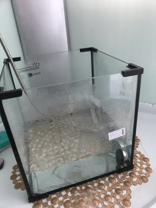 Фотография покупателя товара Аквариум "Куб", 43 литра, 35 х 35 х 35 см