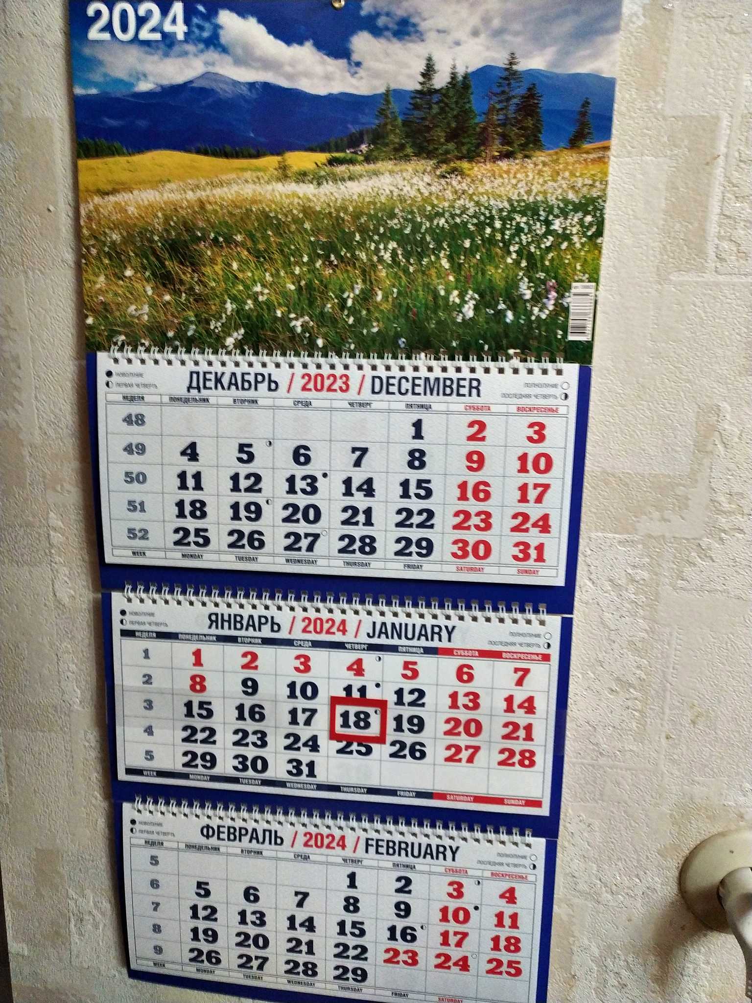 Фотография покупателя товара Календарь квартальный, трио "Природа - 6" 2024 год, 31х69см - Фото 1