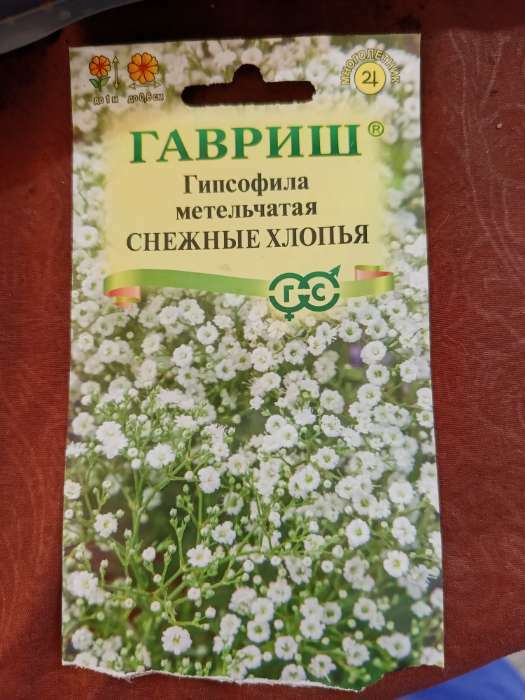 Фотография покупателя товара Семена цветов Гипсофила "Снежные хлопья", 0,05 г