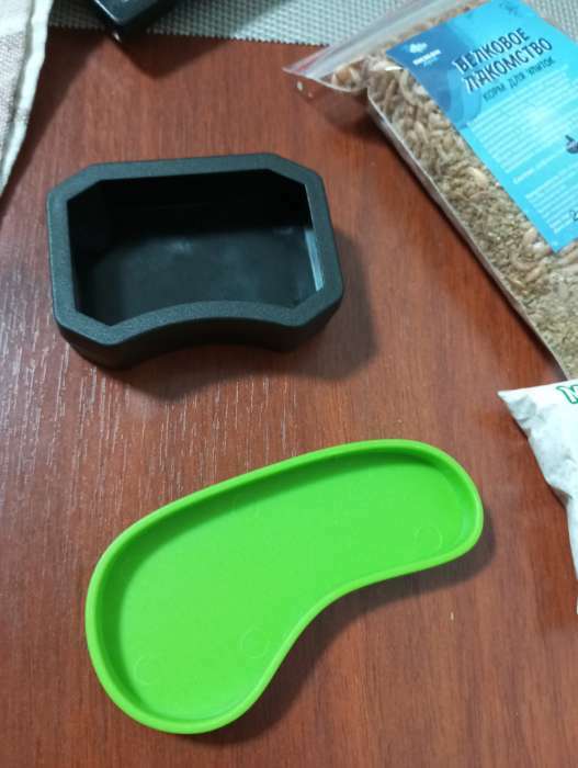 Фотография покупателя товара Кормушка для террариума, 10×5×1.1 см, зелёная - Фото 1