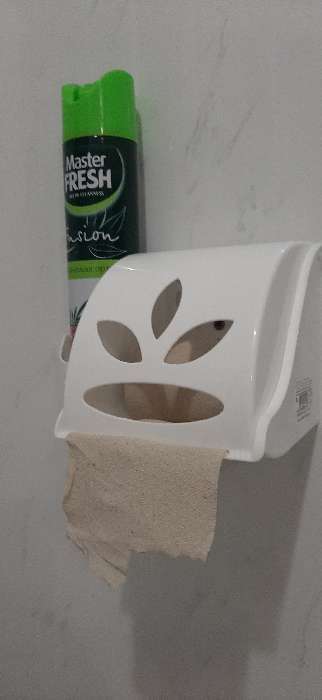 Фотография покупателя товара Держатель для туалетной бумаги и освежителя воздуха, цвет МИКС - Фото 5