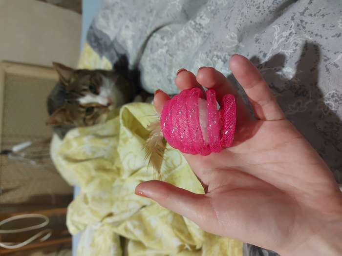 Фотография покупателя товара Шар-погремушка "Праздничный" с перьями, 4,5 см, микс цветов