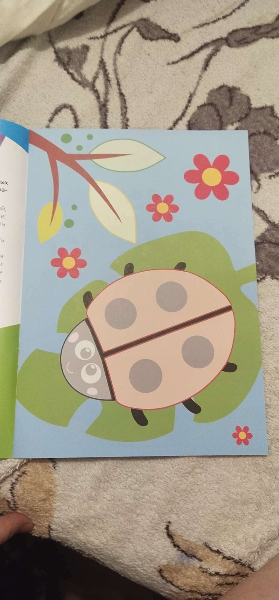 Фотография покупателя товара Аппликации объёмные «Ёжик», 20 стр., формат А4 - Фото 12