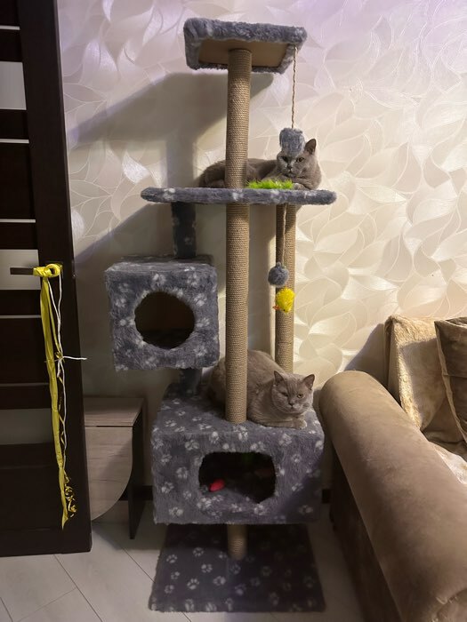 Фотография покупателя товара Домик для кошек с когтеточкой, с площадкой и полкой, 65 х 51 х 173 см, серая с лапкам - Фото 1