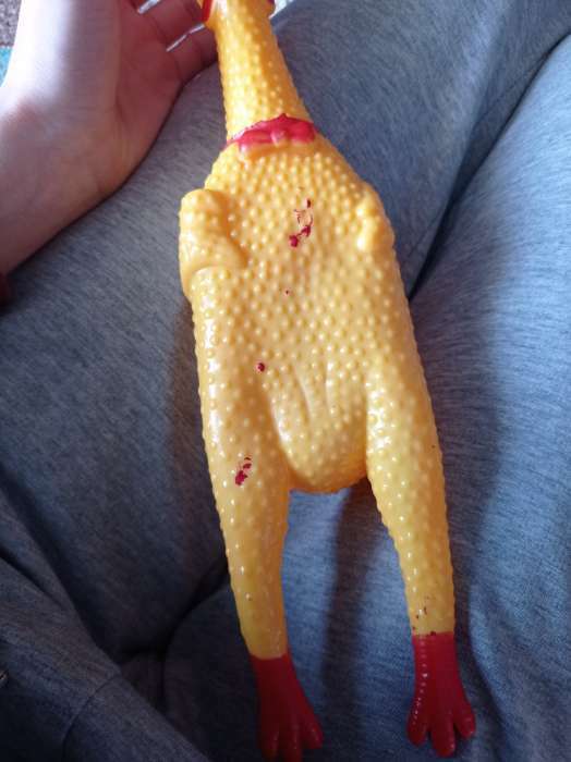 Фотография покупателя товара Игрушка пищащая "Задумчивая курица" для собак, 28 см, жёлтая - Фото 38