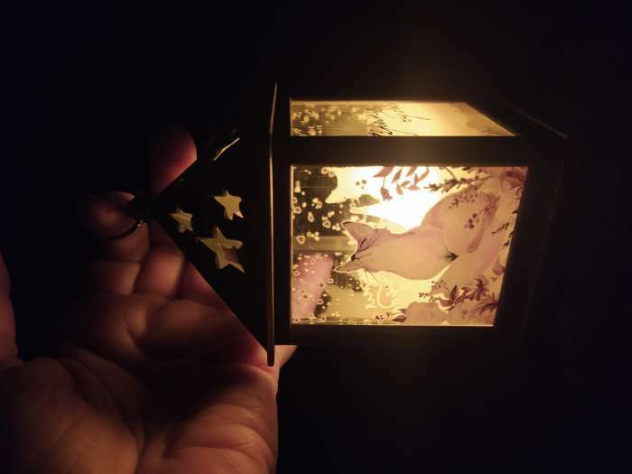 Фотография покупателя товара Светодиодная фигура «Бронзовый фонарь с лисой» 6.3 × 12 × 6.3 см, пластик, батарейки AG13х3, свечение тёплое белое, УЦЕНКА - Фото 4