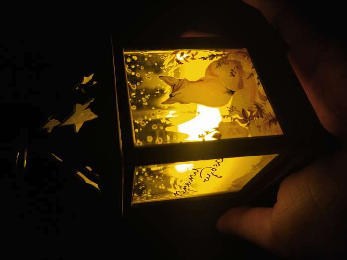 Фотография покупателя товара Светодиодная фигура «Бронзовый фонарь с лисой» 6.3 × 12 × 6.3 см, пластик, батарейки AG13х3, свечение тёплое белое - Фото 6