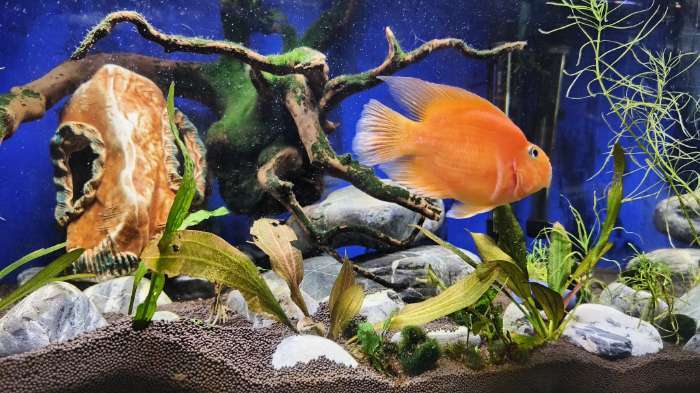 Фотография покупателя товара Фон для аквариума двухсторонний, 40×75 см - Фото 1