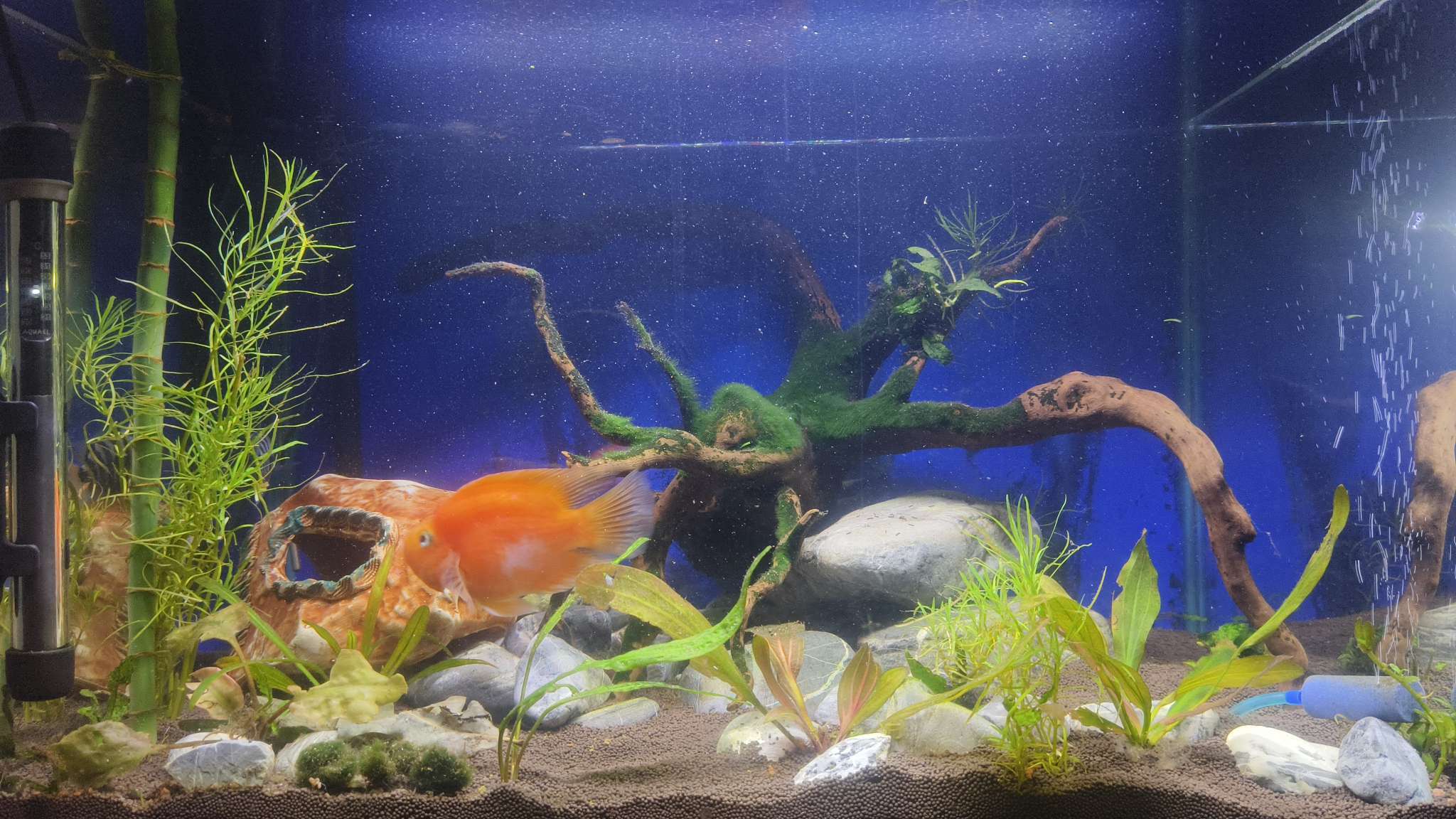 Фотография покупателя товара Фон для аквариума двухсторонний, 40×75 см - Фото 3