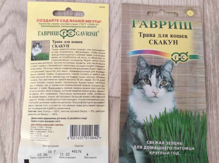 Фотография покупателя товара Семена Трава для кошек "Скакун", ц/п,  10 г - Фото 6