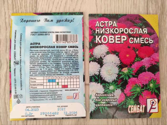 Фотография покупателя товара Семена цветов Астра "Ковер", низкорослая, смесь, 0,2 г - Фото 2