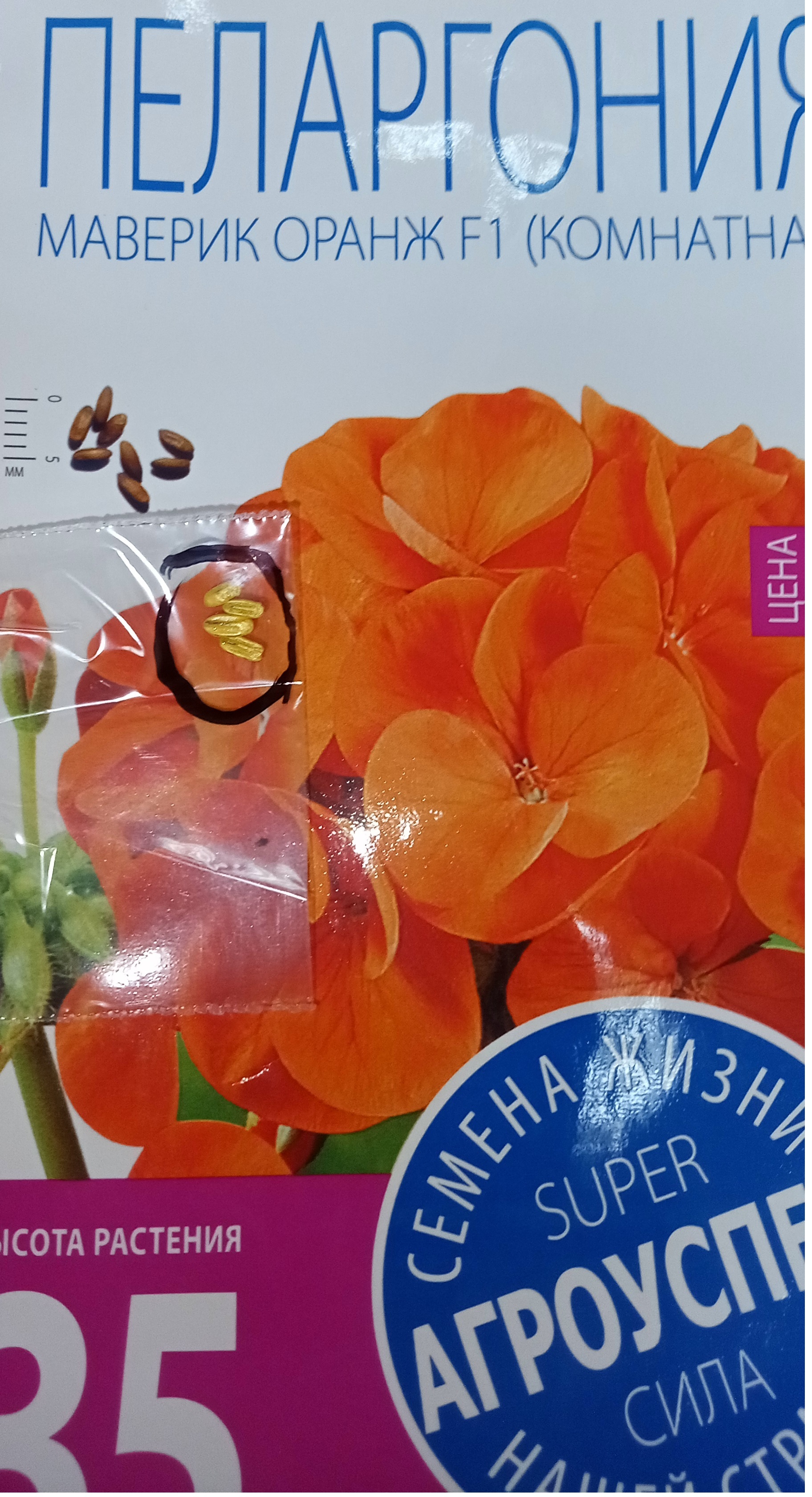 Фотография покупателя товара Семена комнатных цветов Пеларгония "Oранж", 4 шт.